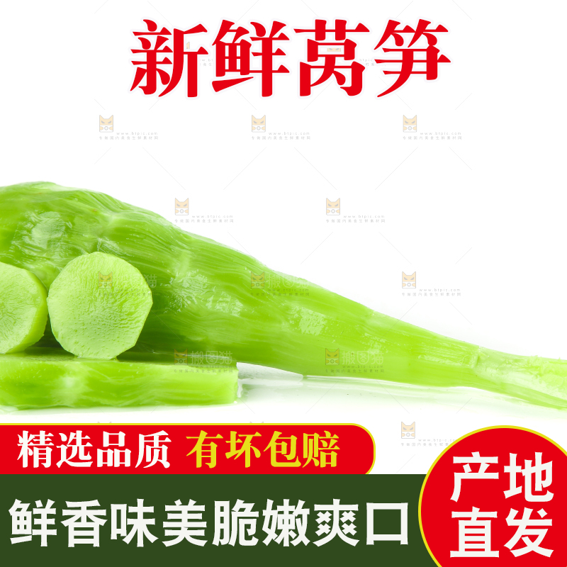 白底上的新鲜莴笋