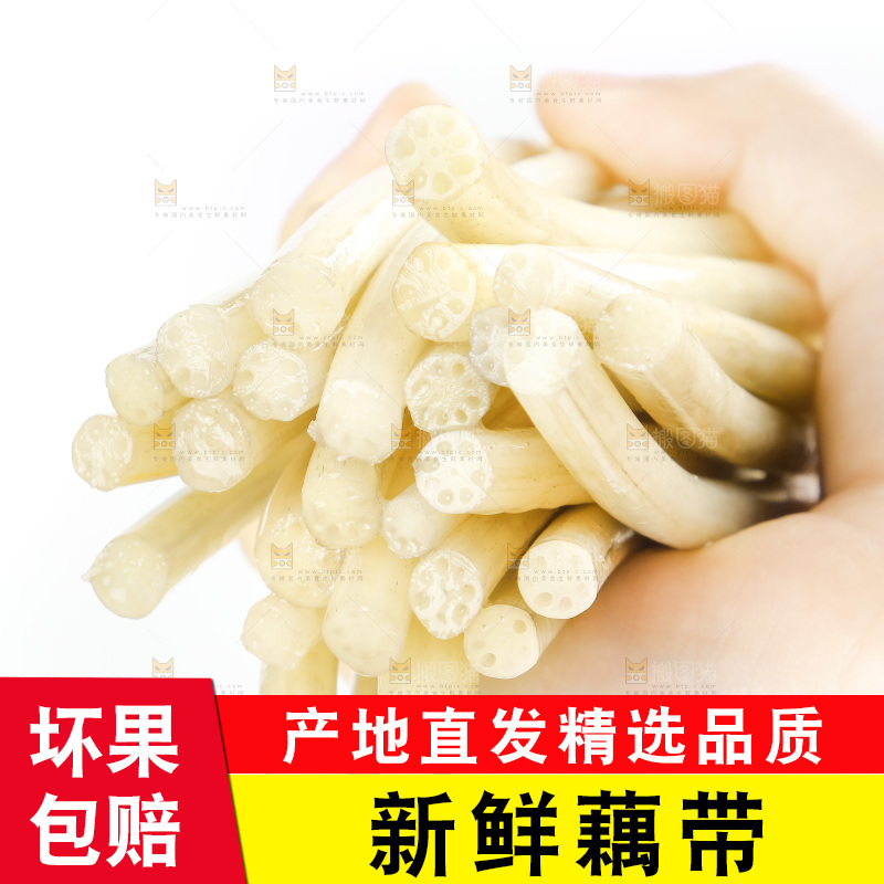 白底上的新鲜藕带