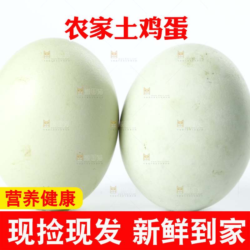 白底上的土鸡蛋