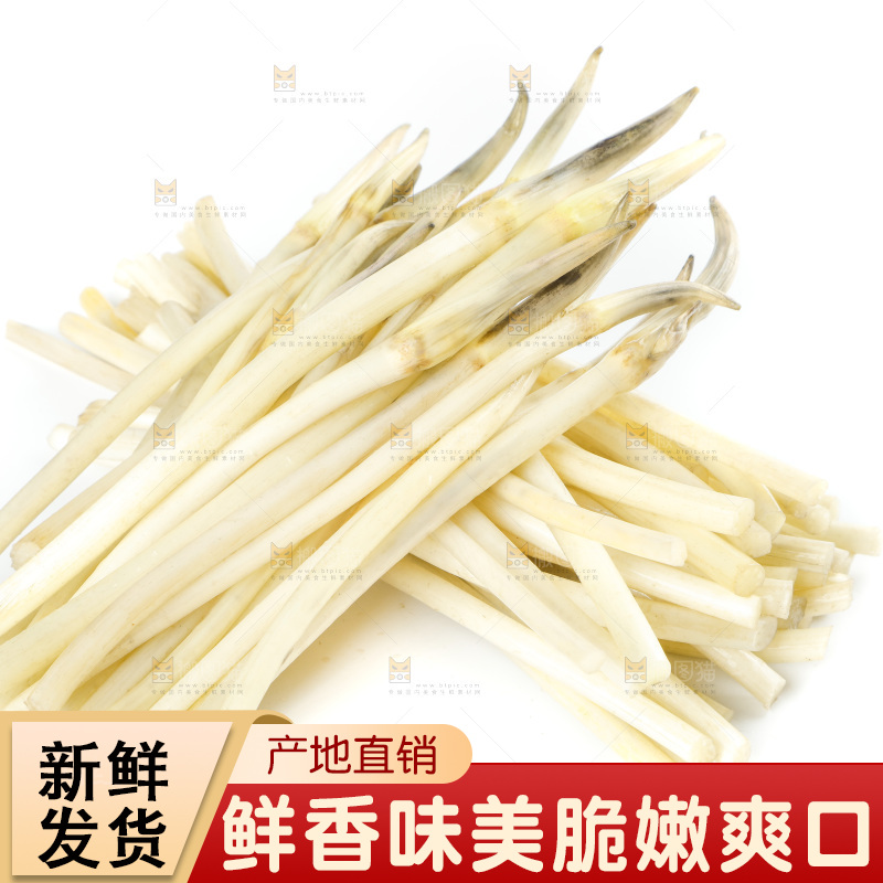 白底上的新鲜藕带