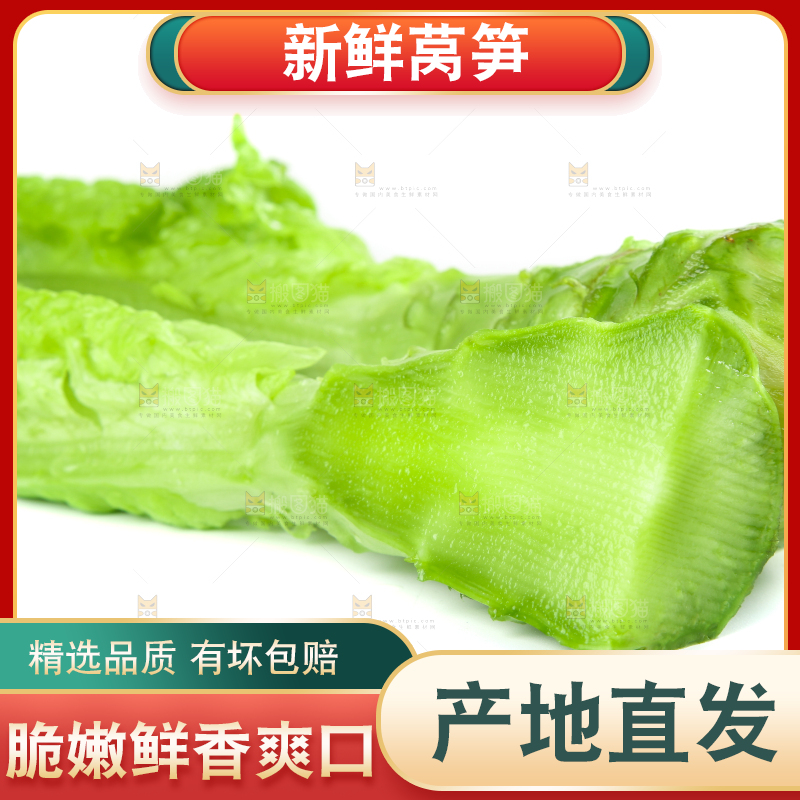 白底上的新鲜莴笋