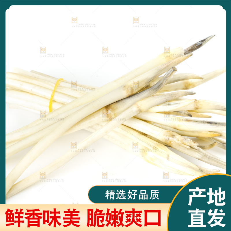 白底上的新鲜藕带