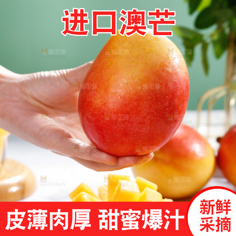 浅底上的澳芒