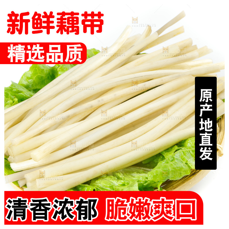 白底上的新鲜藕带
