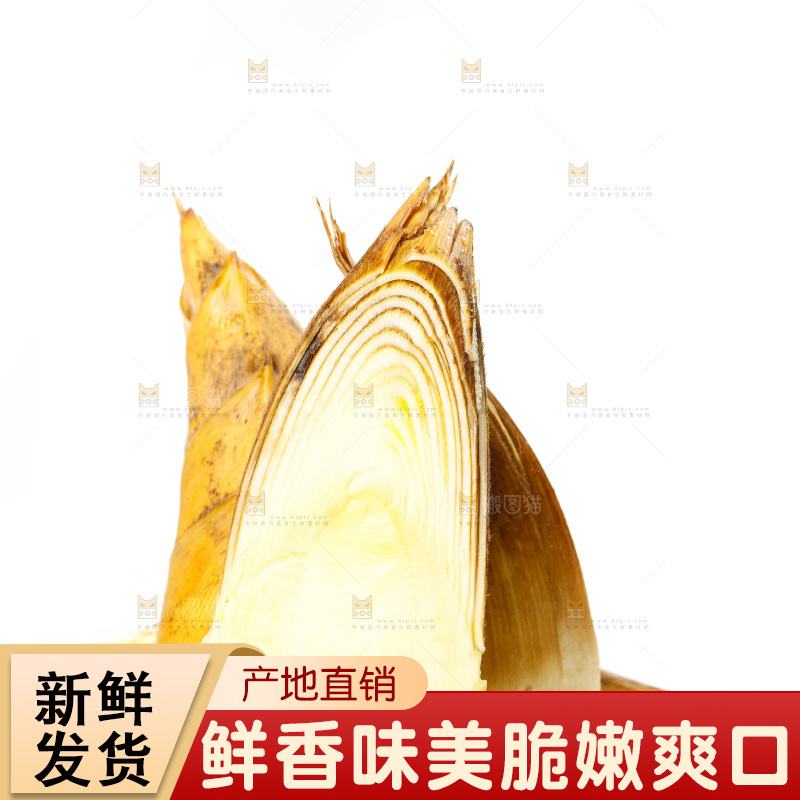 白底上的新鲜冬笋