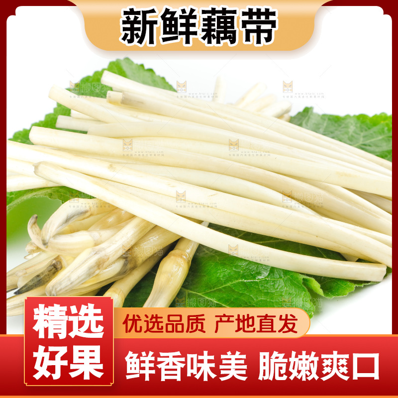 白底上的新鲜藕带