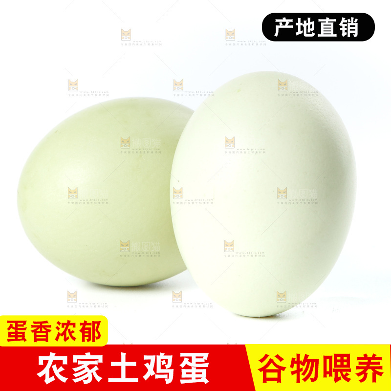 白底上的土鸡蛋