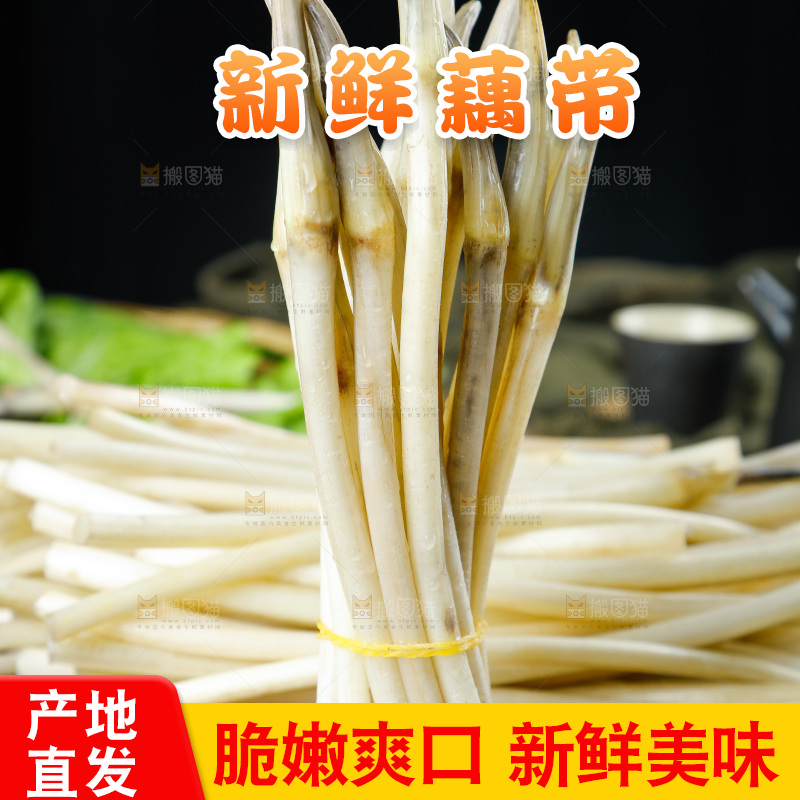 深底上的藕带