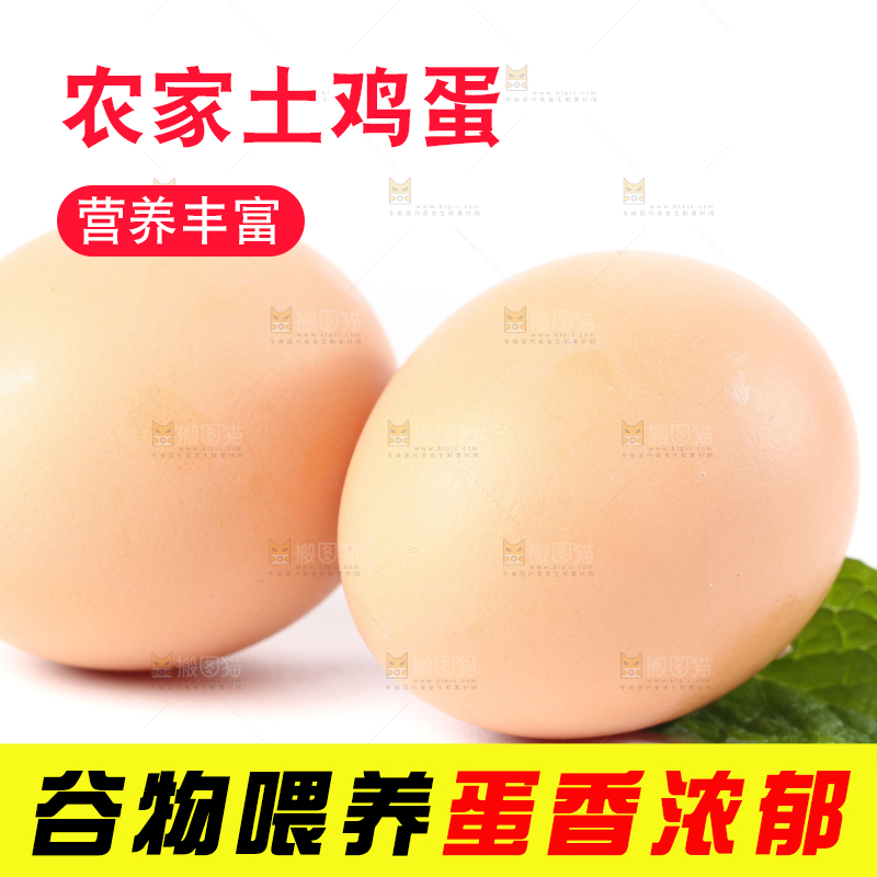 白底上的土鸡蛋