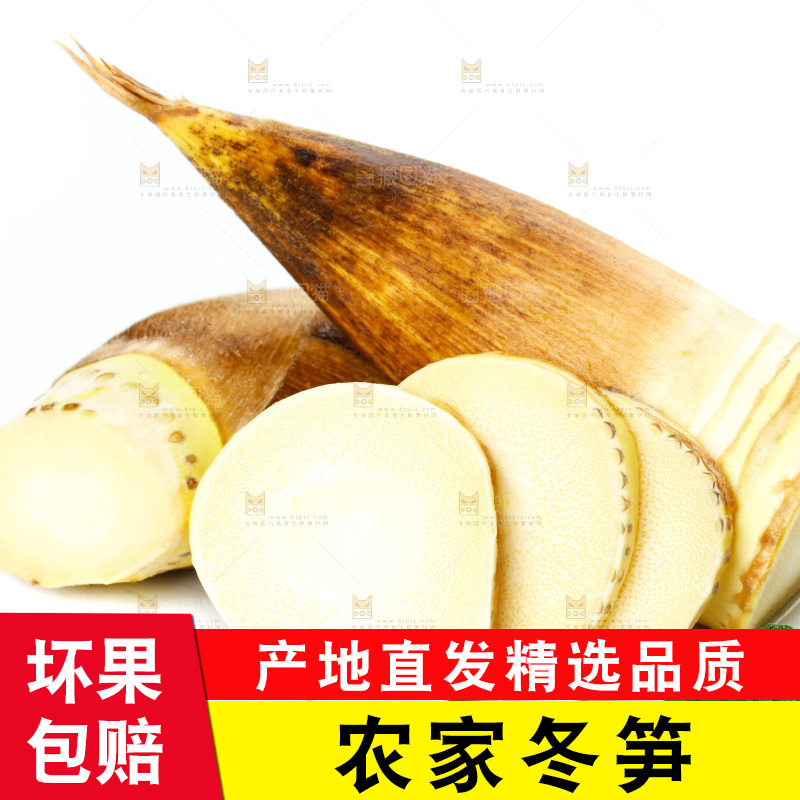 白底上的新鲜冬笋