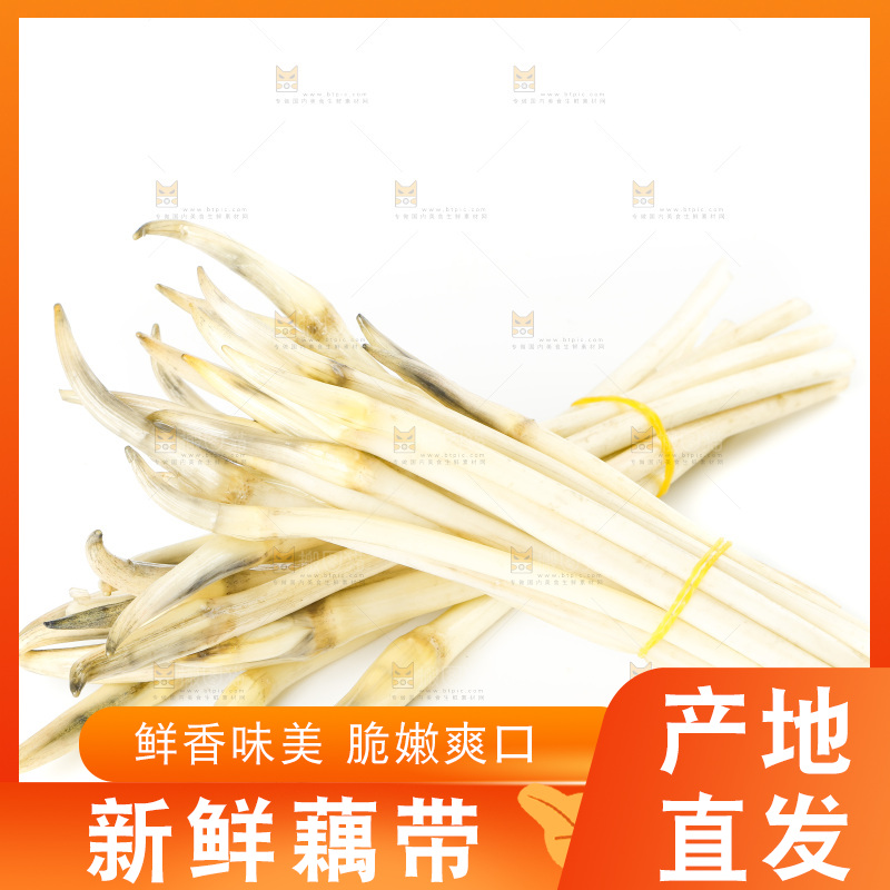 白底上的新鲜藕带