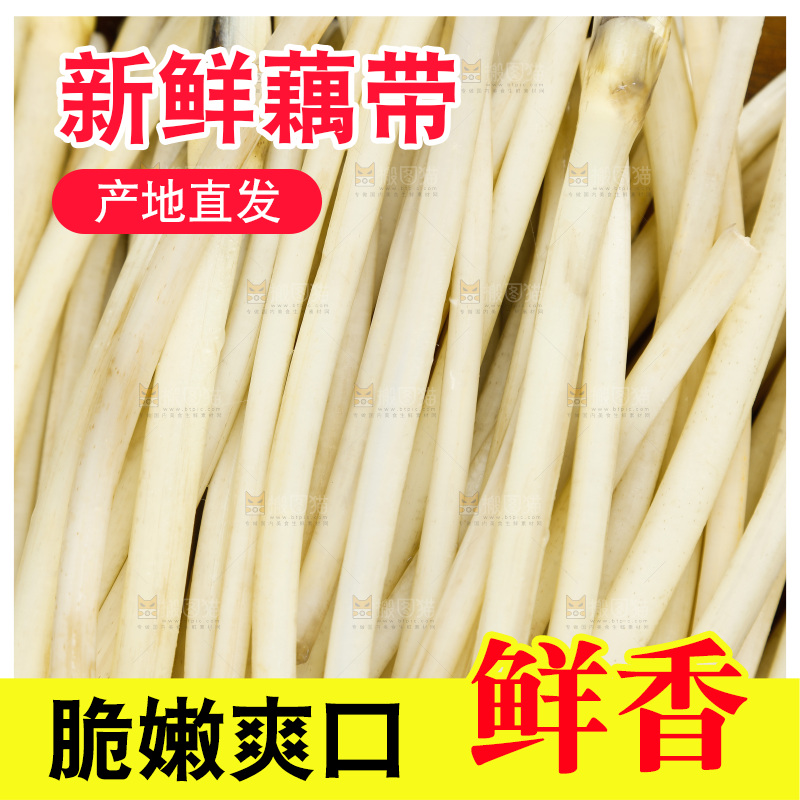 深底上的藕带