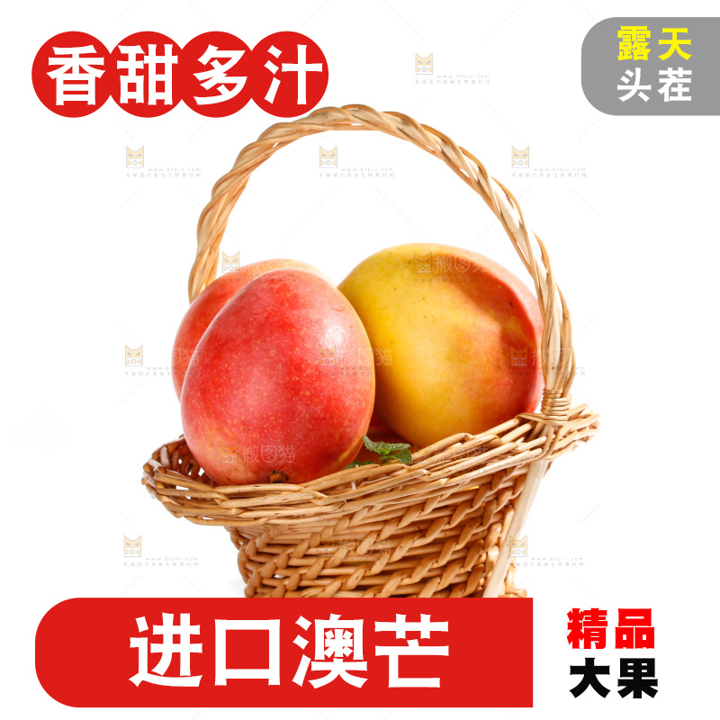 白底上的澳芒