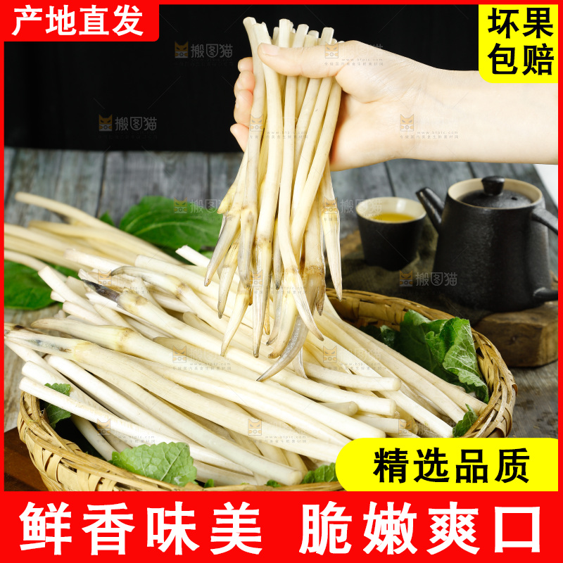 深底上的藕带