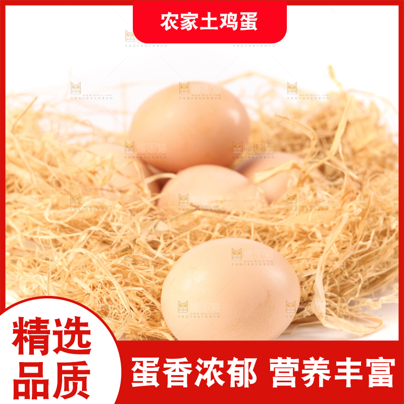 白底上的土鸡蛋