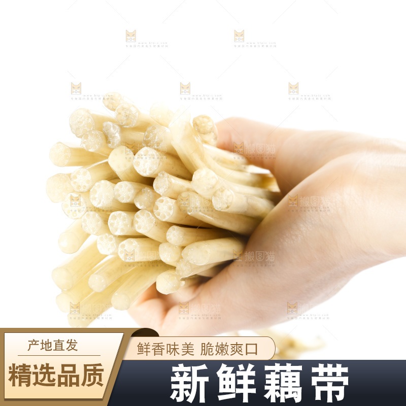白底上的新鲜藕带