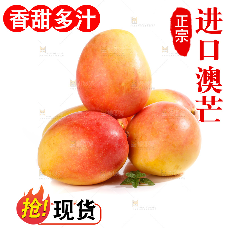 白底上的澳芒
