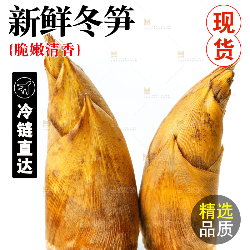 白底上的新鲜冬笋