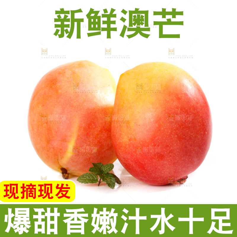 白底上的澳芒