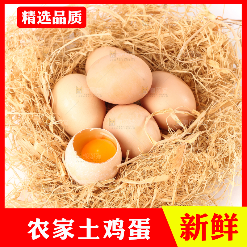 白底上的土鸡蛋