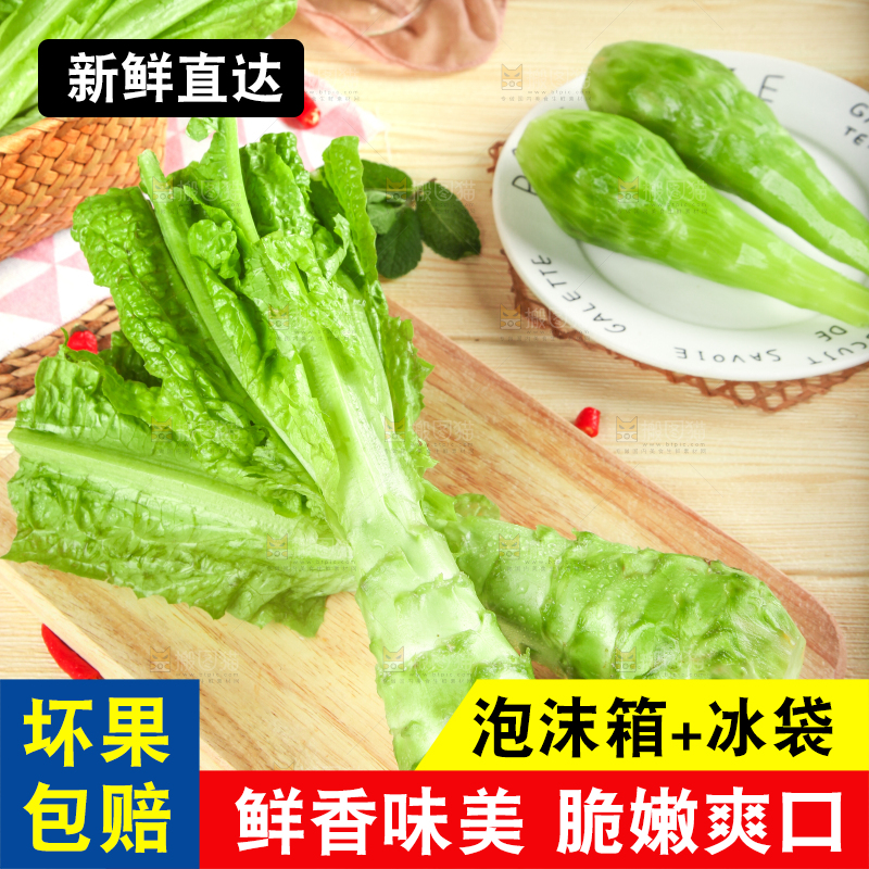 浅底上的莴笋