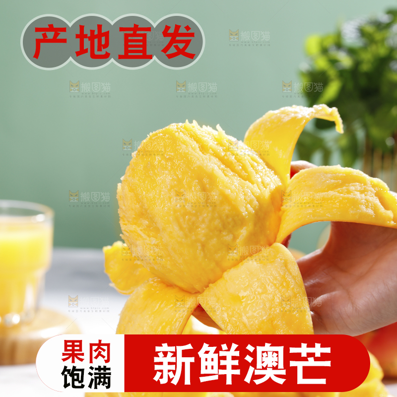 浅底上的澳芒