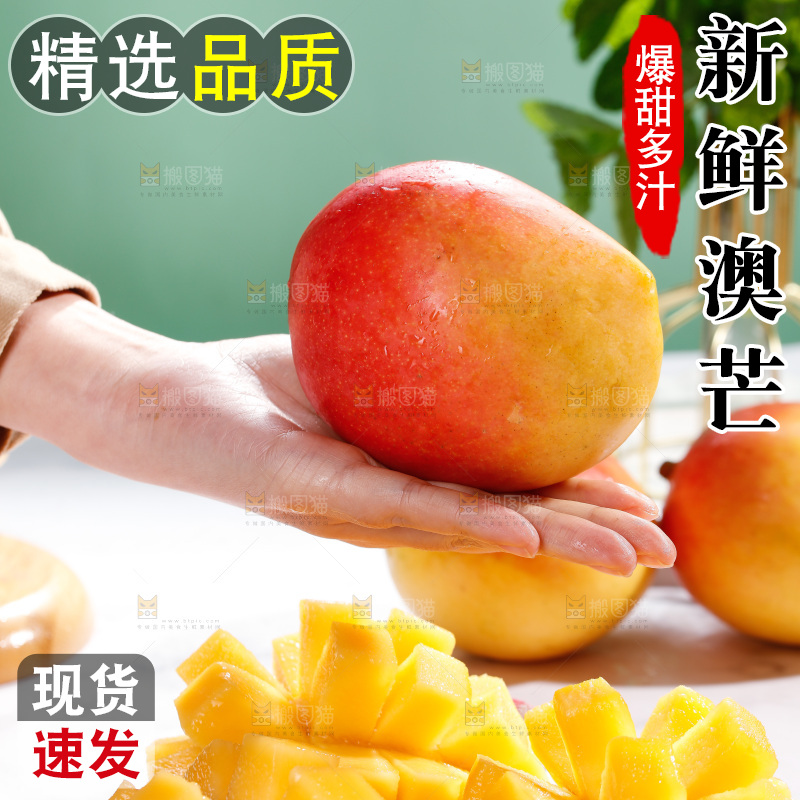 浅底上的澳芒