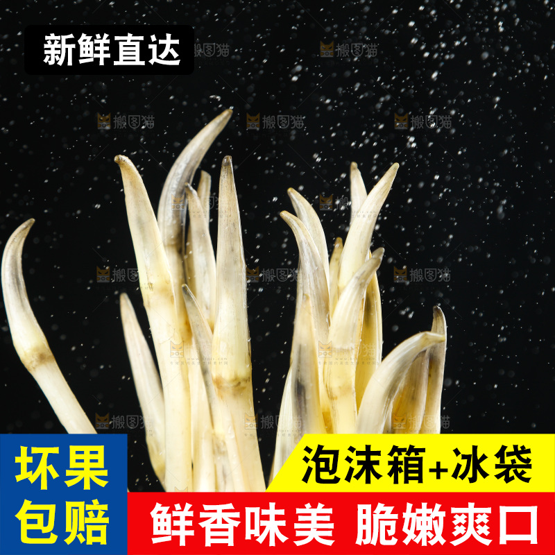 深底上的藕带