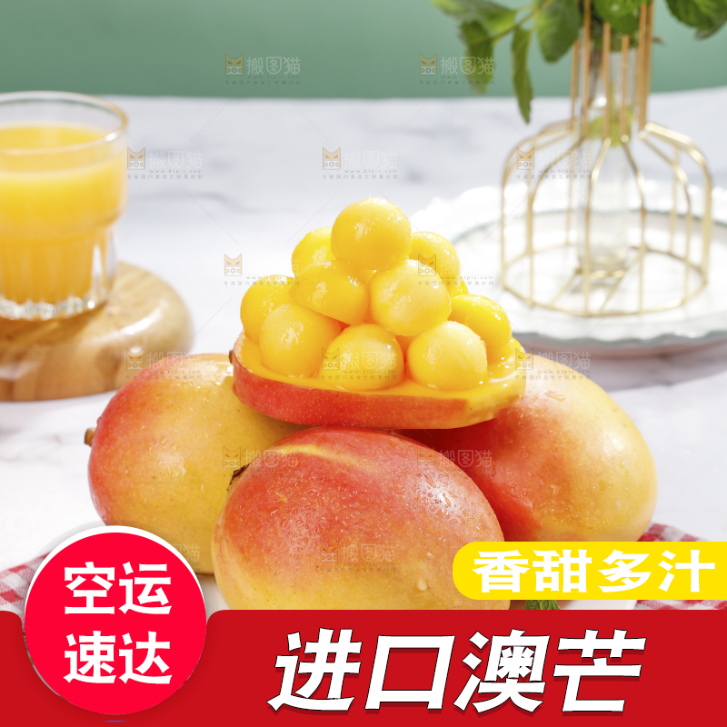 浅底上的澳芒