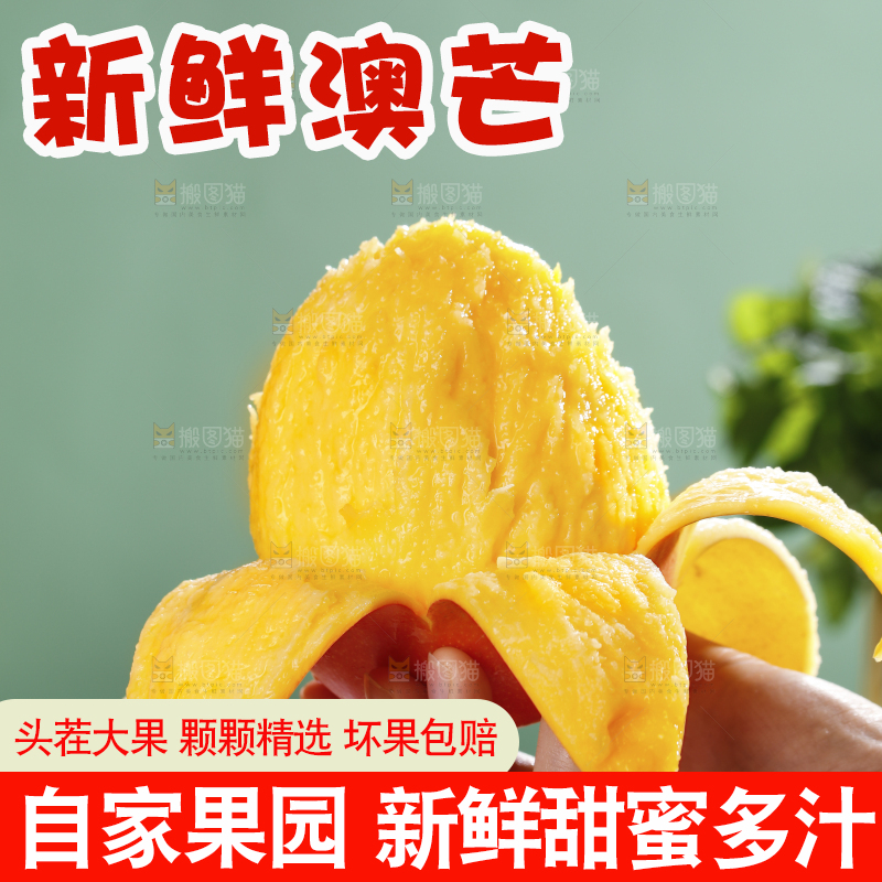 浅底上的澳芒