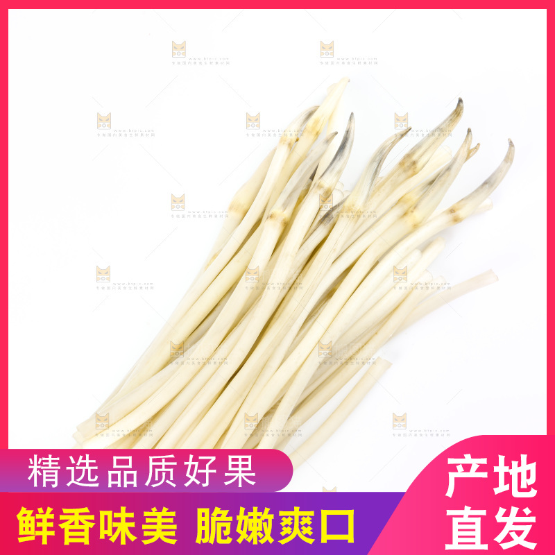 白底上的新鲜藕带