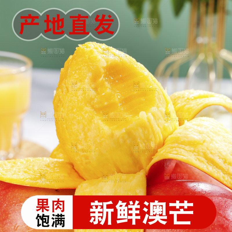 浅底上的澳芒
