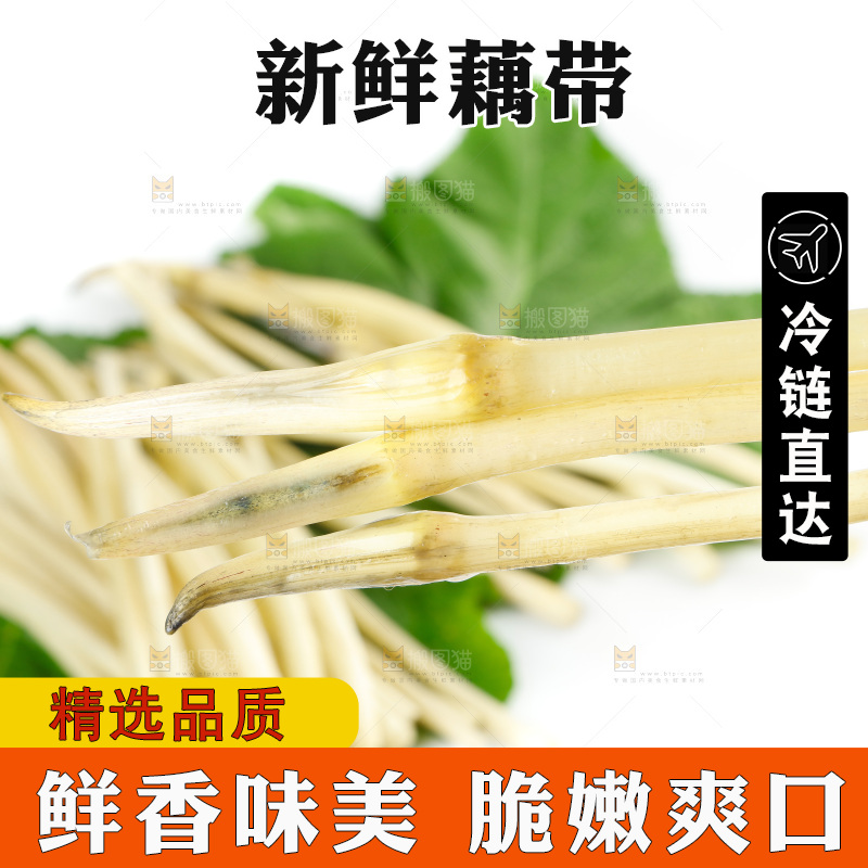 白底上的新鲜藕带