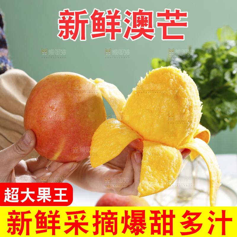 浅底上的澳芒
