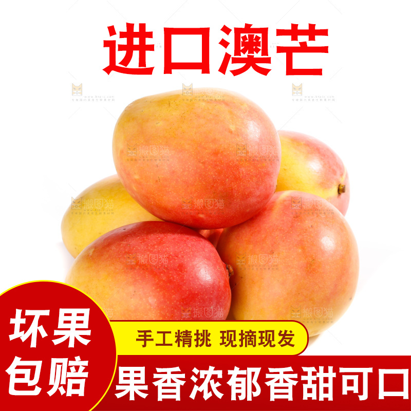 白底上的澳芒