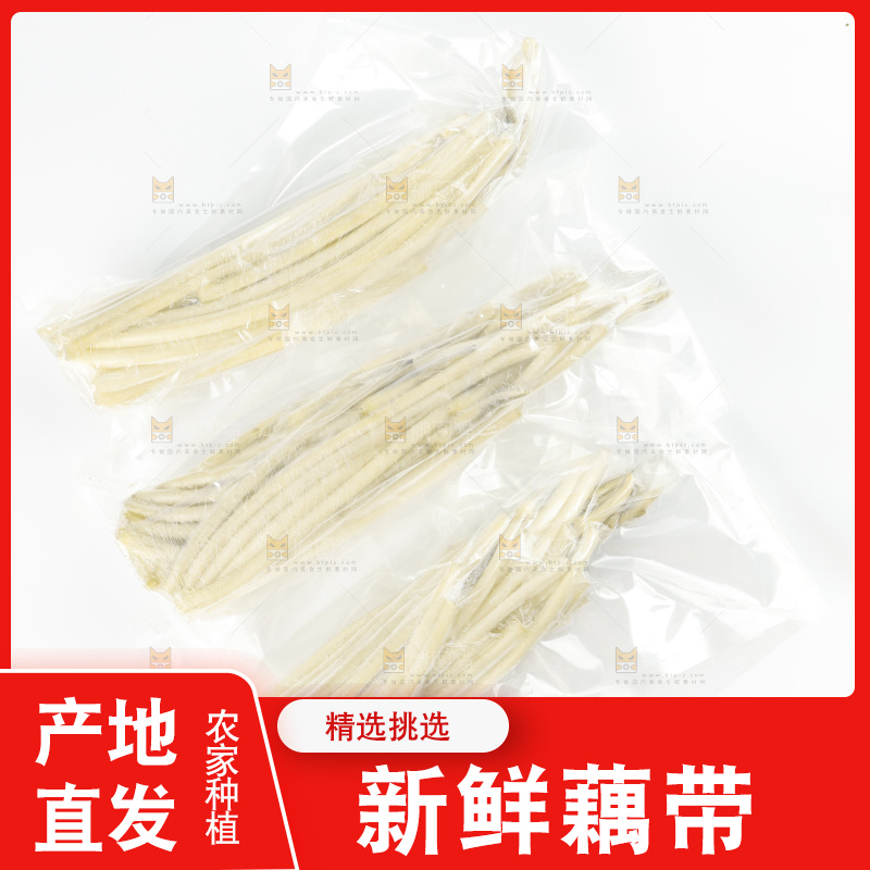白底上的新鲜藕带