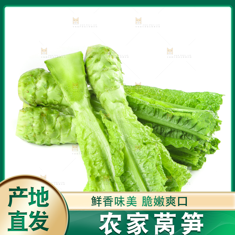 白底上的新鲜莴笋