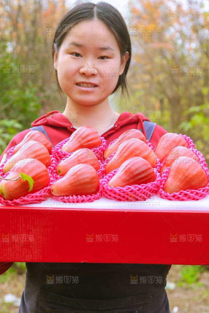 手里拿着黑金刚莲雾