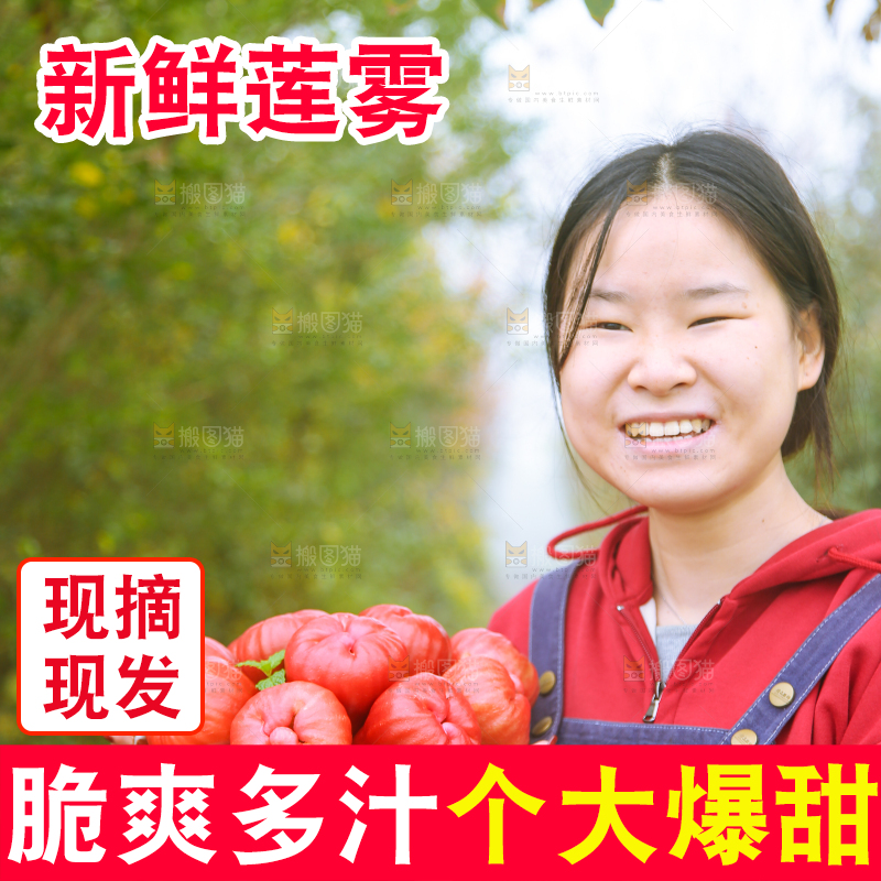 手里拿着黑金刚莲雾