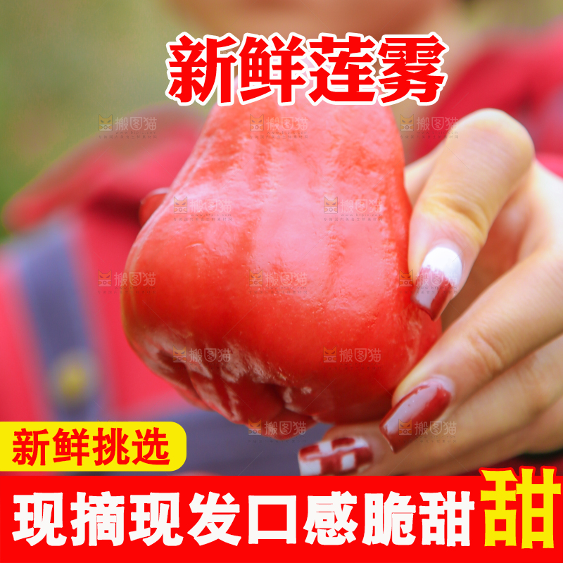 手里拿着黑金刚莲雾