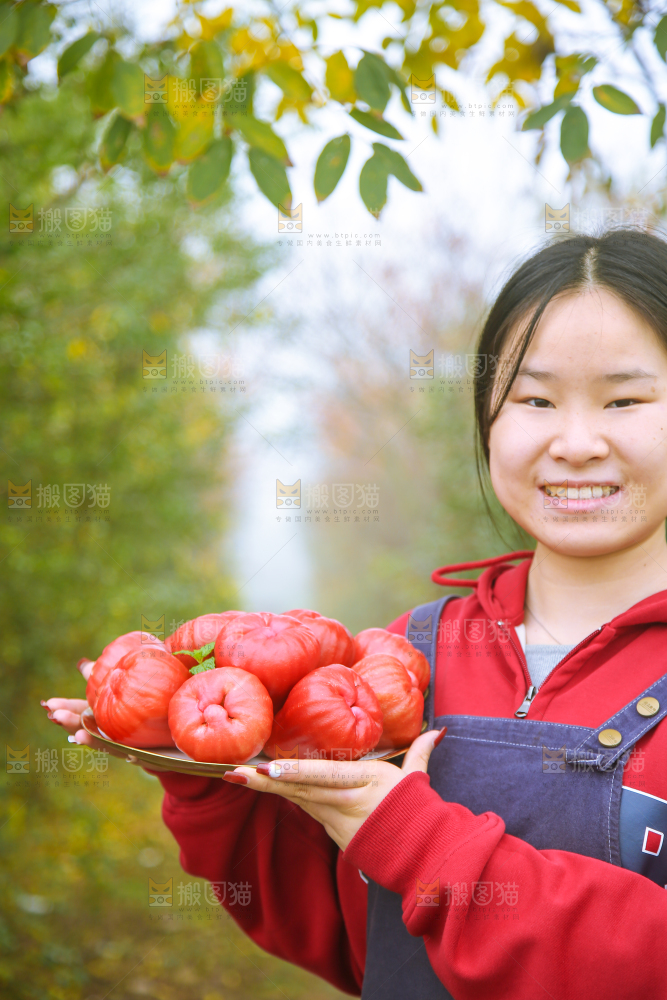 手里拿着黑金刚莲雾