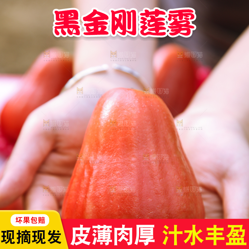 手里拿着黑金刚莲雾