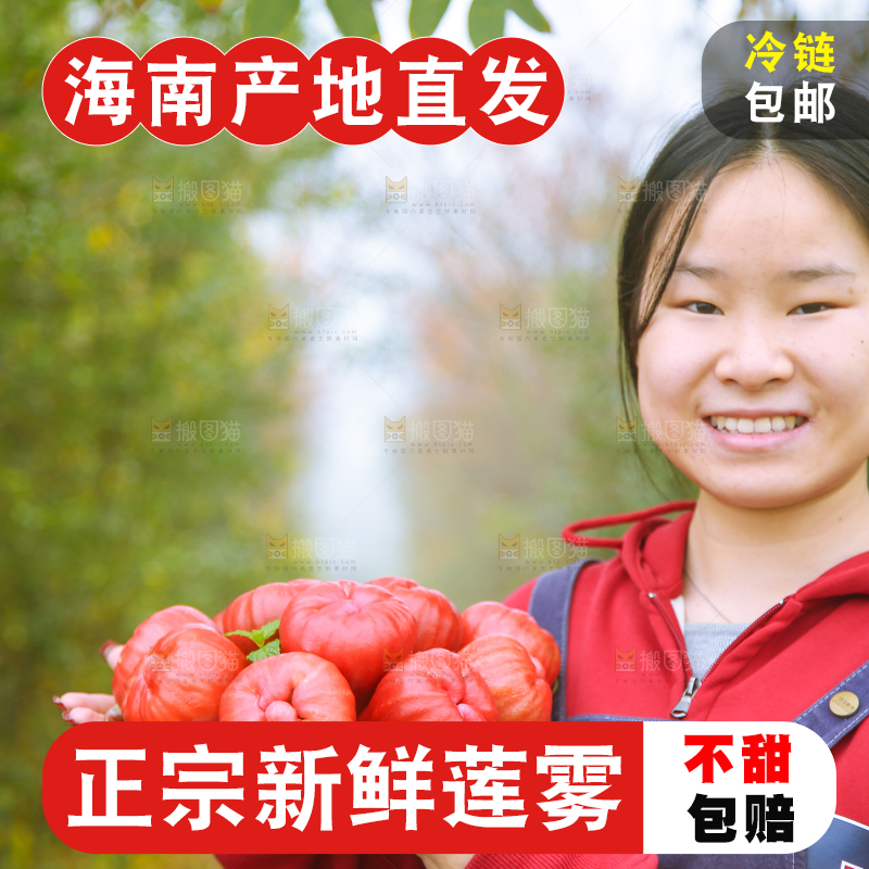 手里拿着黑金刚莲雾