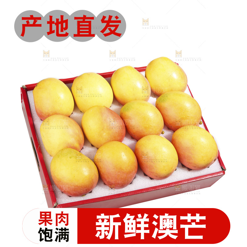 白底上的澳芒
