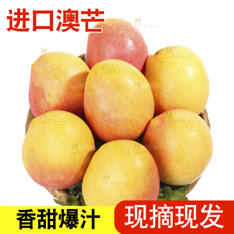 白底上的澳芒