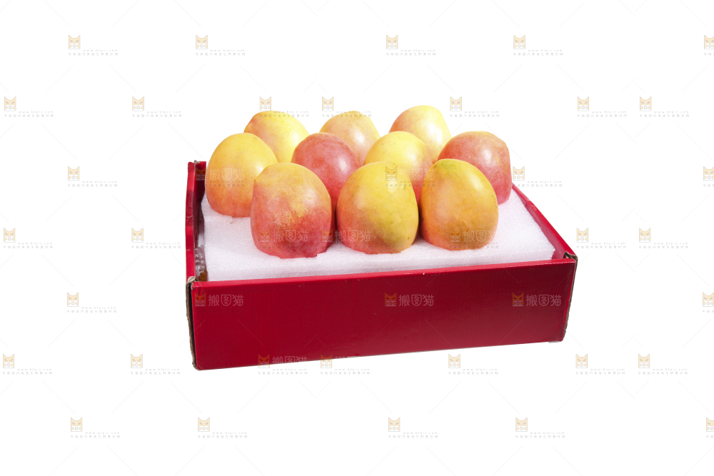 白底上的澳芒