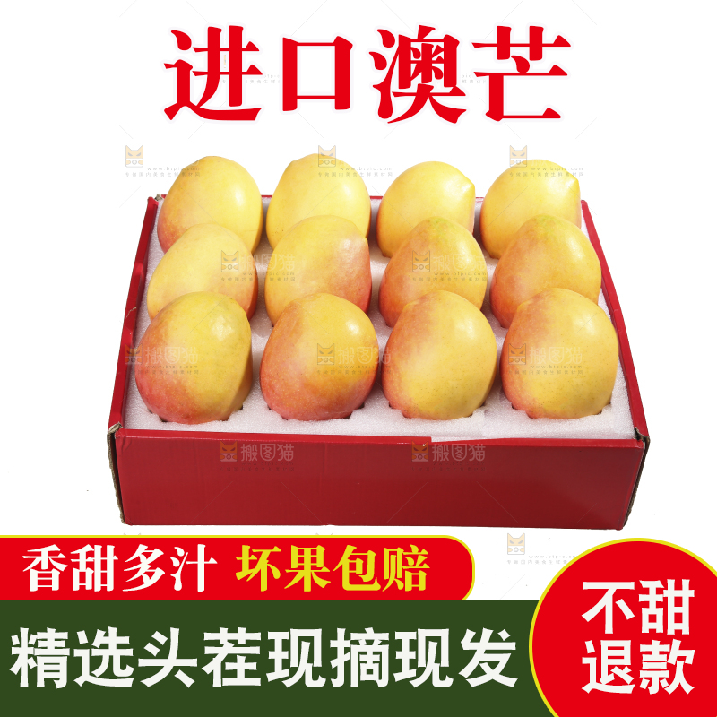 白底上的澳芒