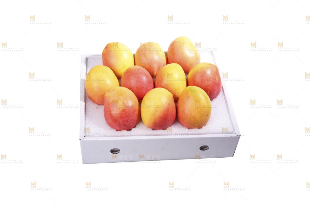 白底上的澳芒