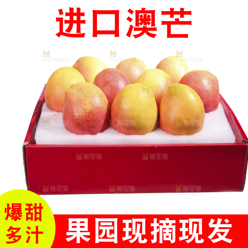白底上的澳芒