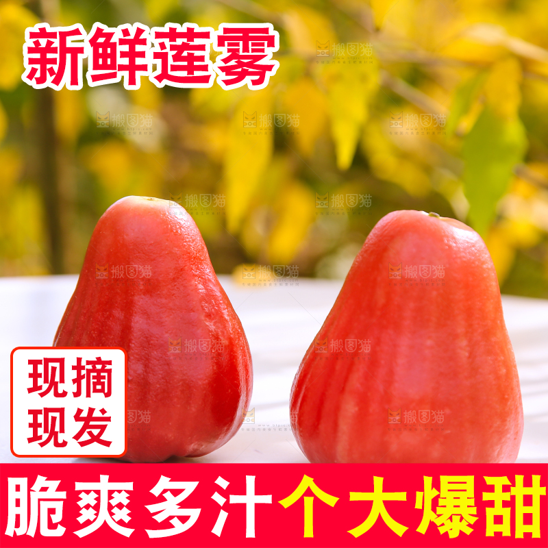 浅底上的莲雾